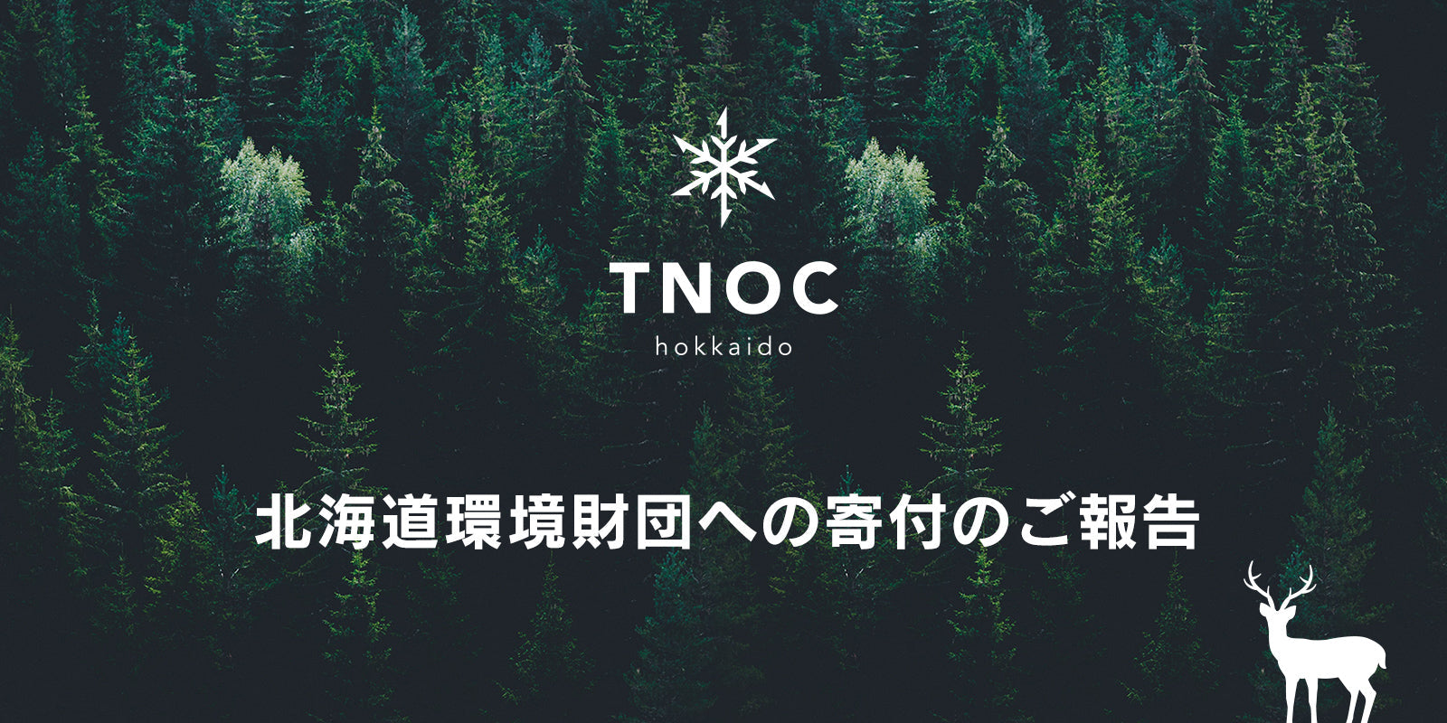 北海道環境財団への寄付のご報告