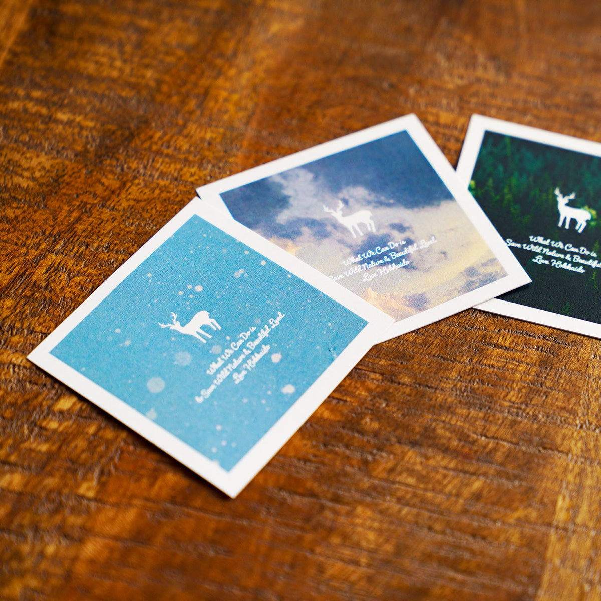 TNOC THE FRAGRANCE CARD