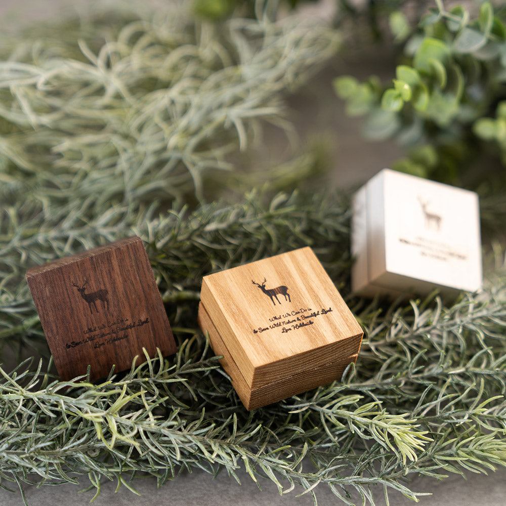 TNOC THE SOLID PERFUME