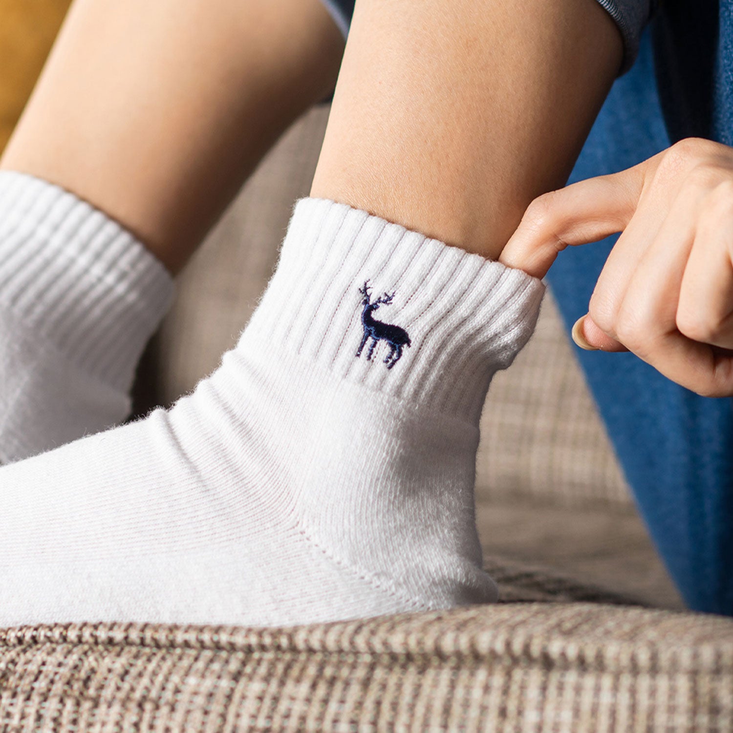 TNOC THE SOCKS DAY