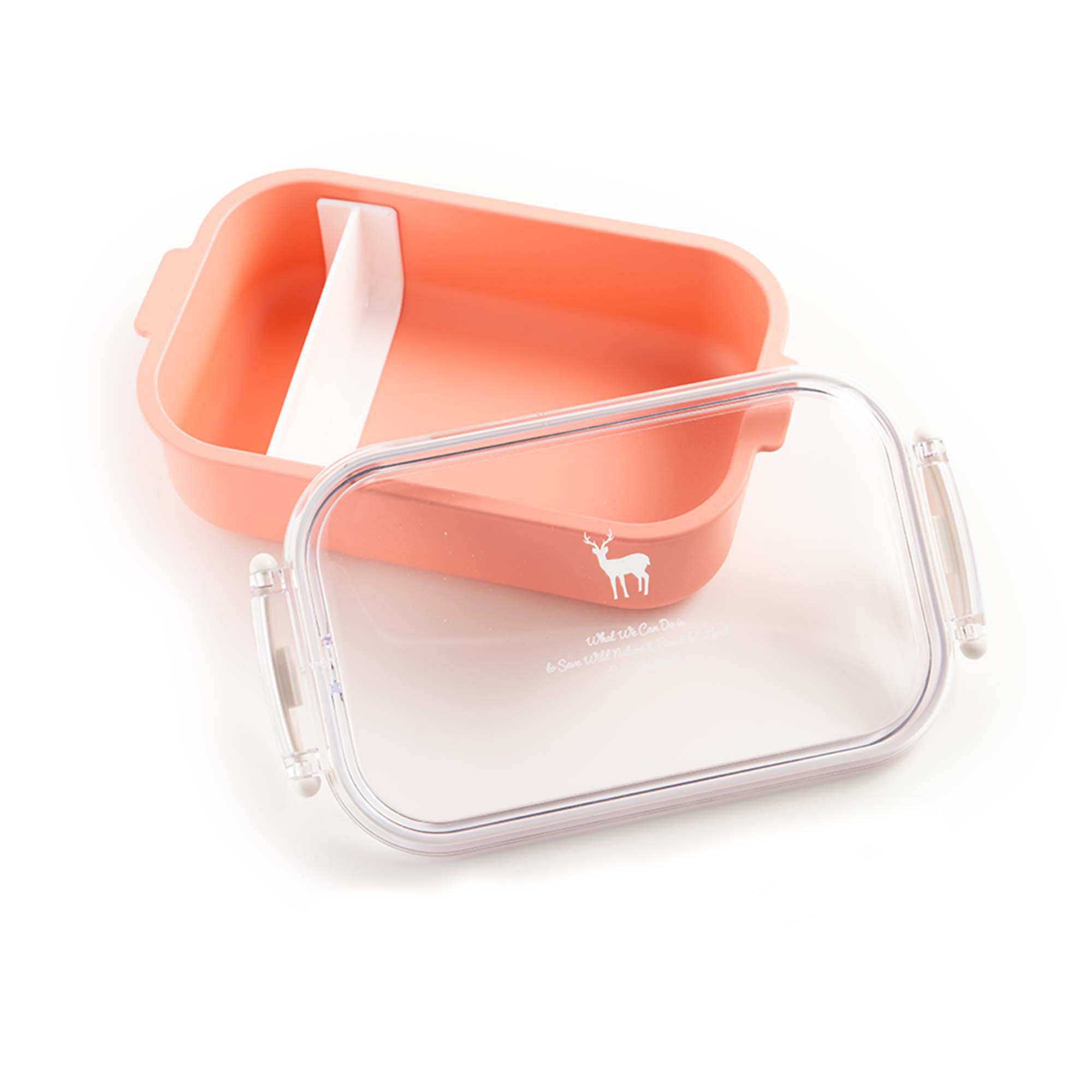 TNOC THE BENTO BOX SINGLE