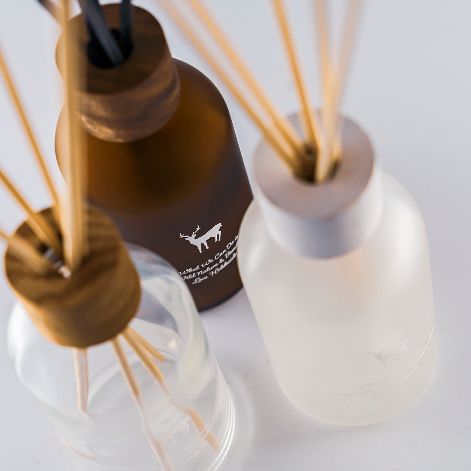 TNOC THE REED DIFFUSER