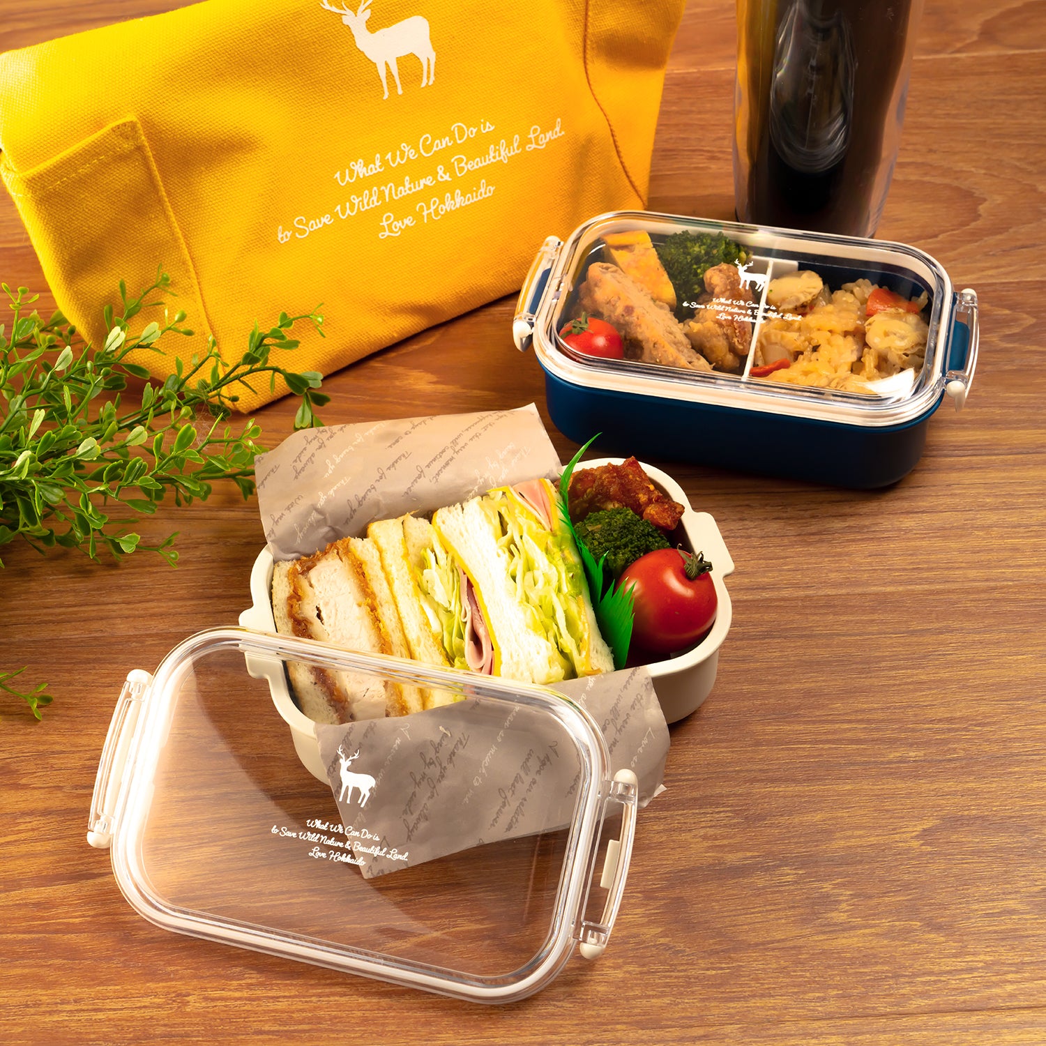 TNOC THE BENTO BOX SINGLE