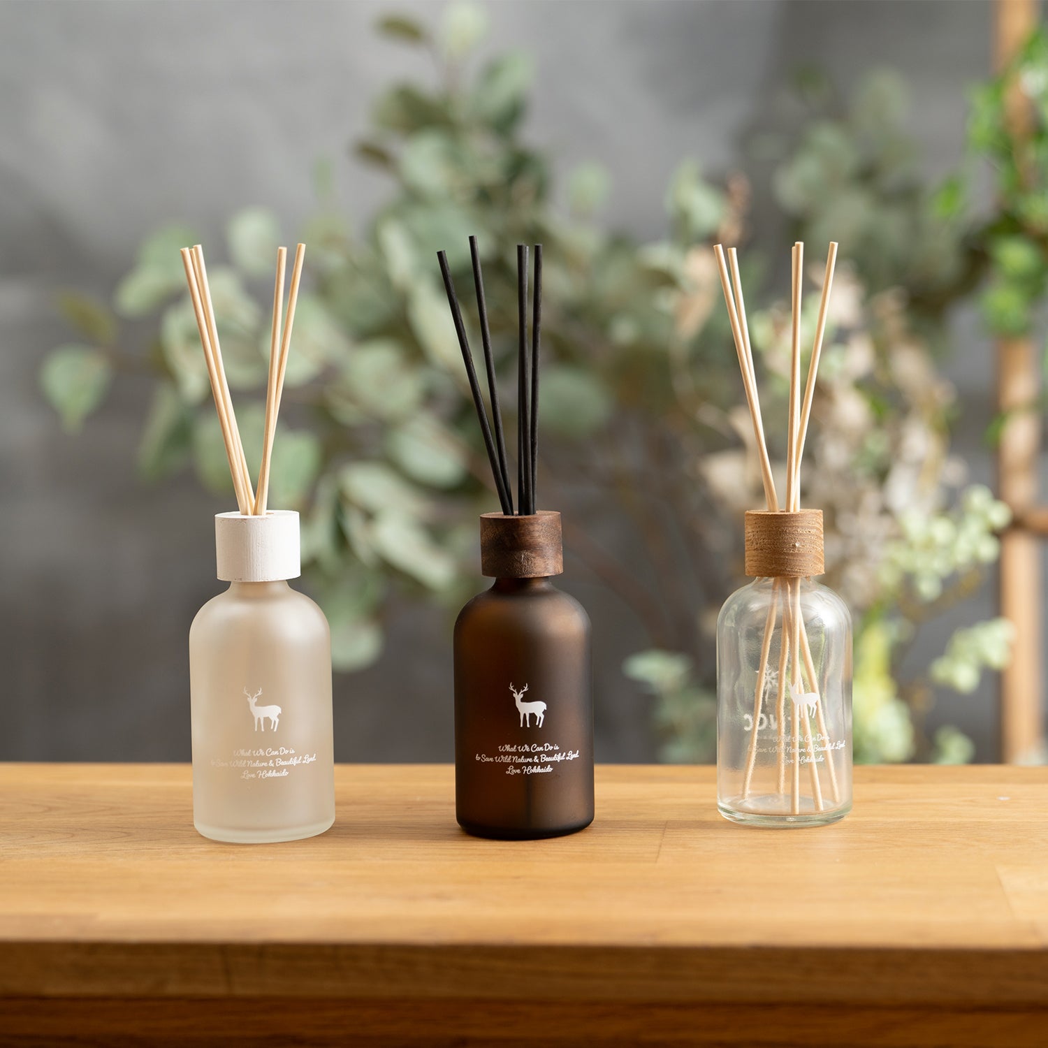 TNOC THE REED DIFFUSER