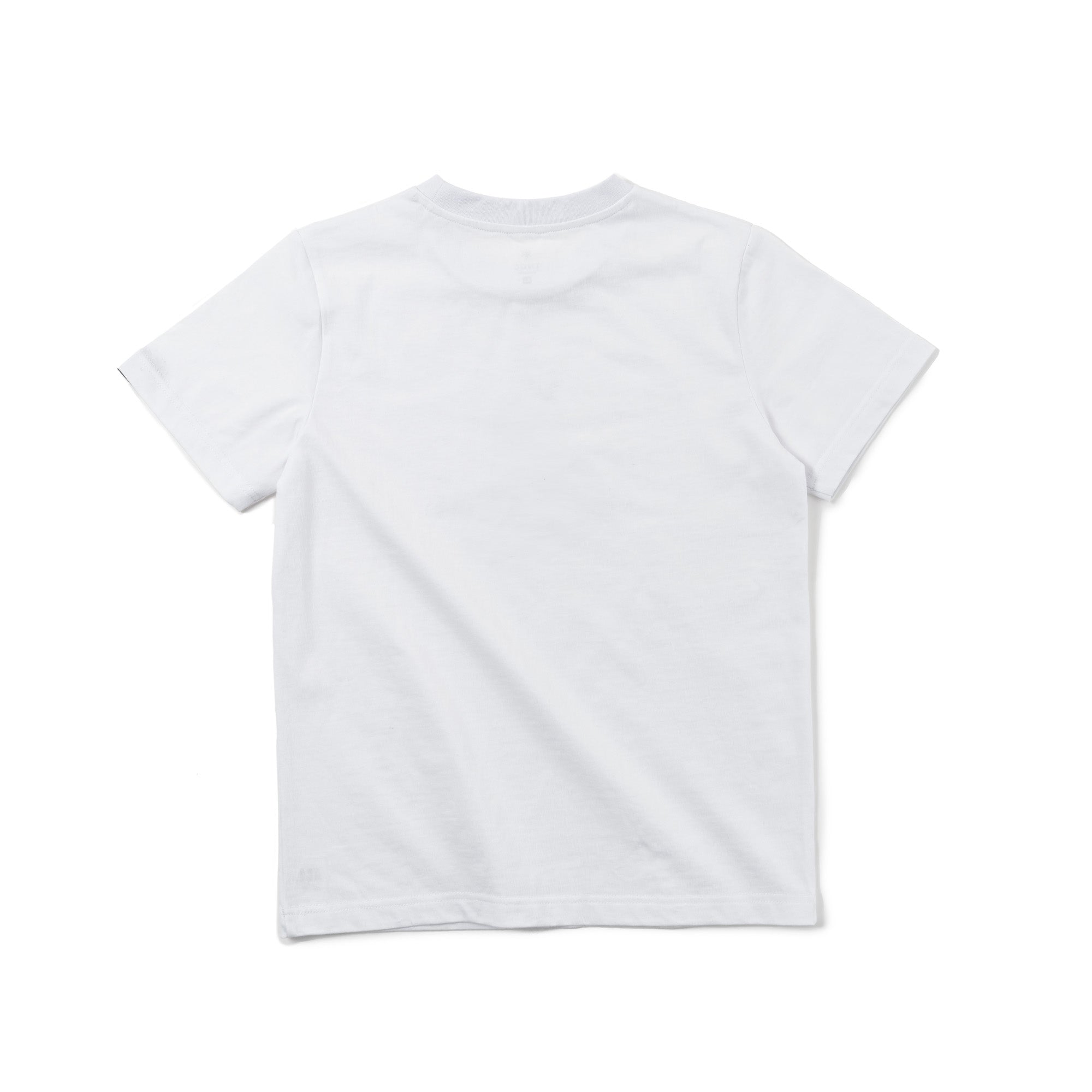 TNOC THE TEE / EZOSIKA LANTERN