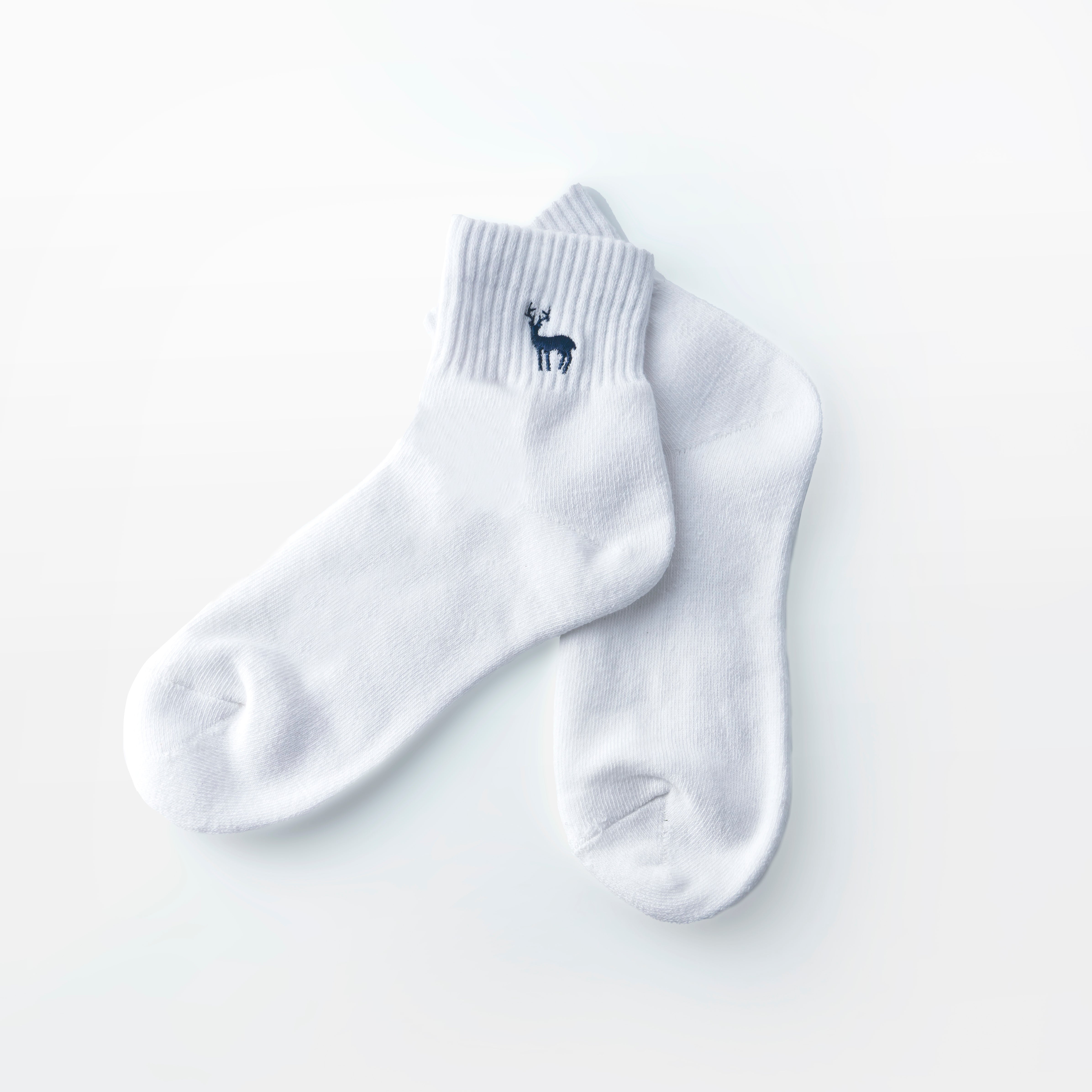 TNOC THE SOCKS DAY