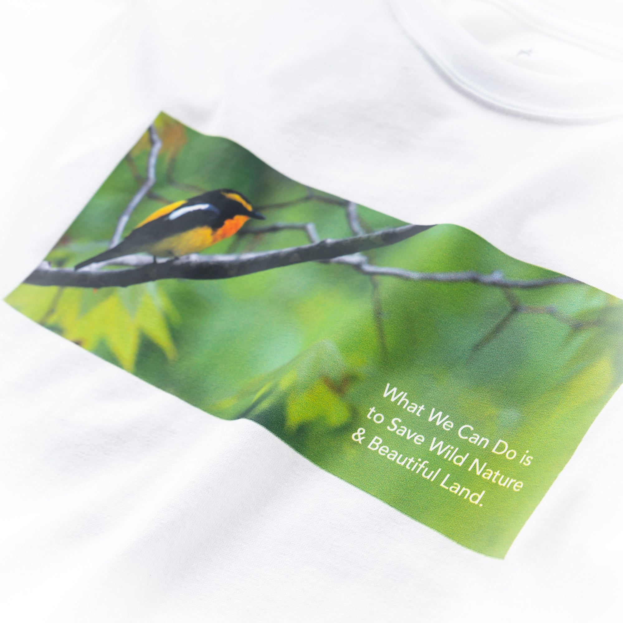 TNOC THE TEE / Narcissus Flycatcher SNOW WHITE