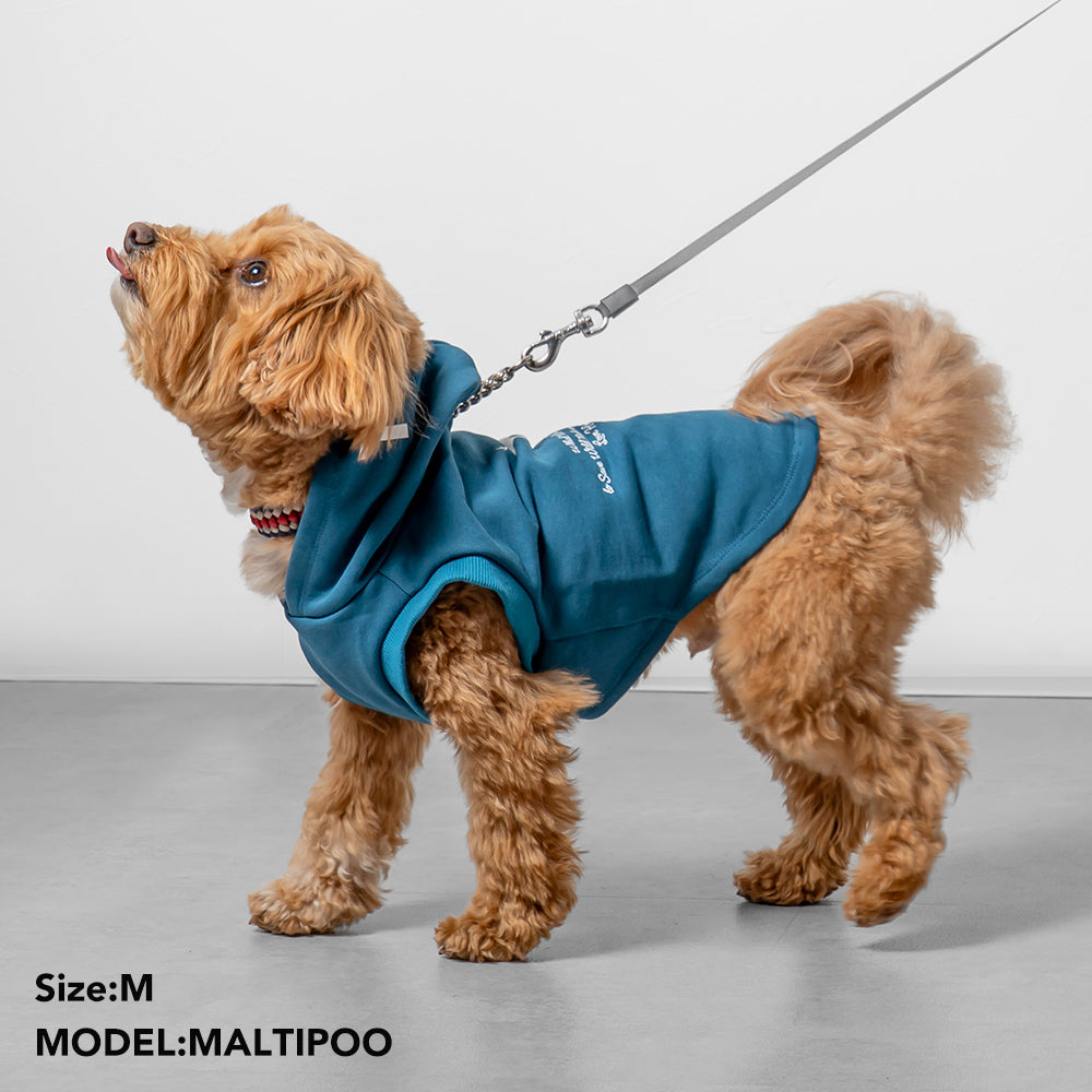 TNOC THE HOODIE PULLOVER PET