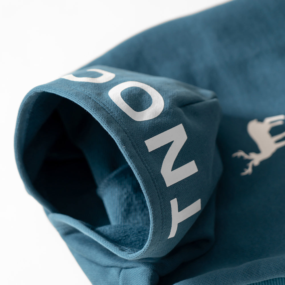 TNOC THE HOODIE PULLOVER PET