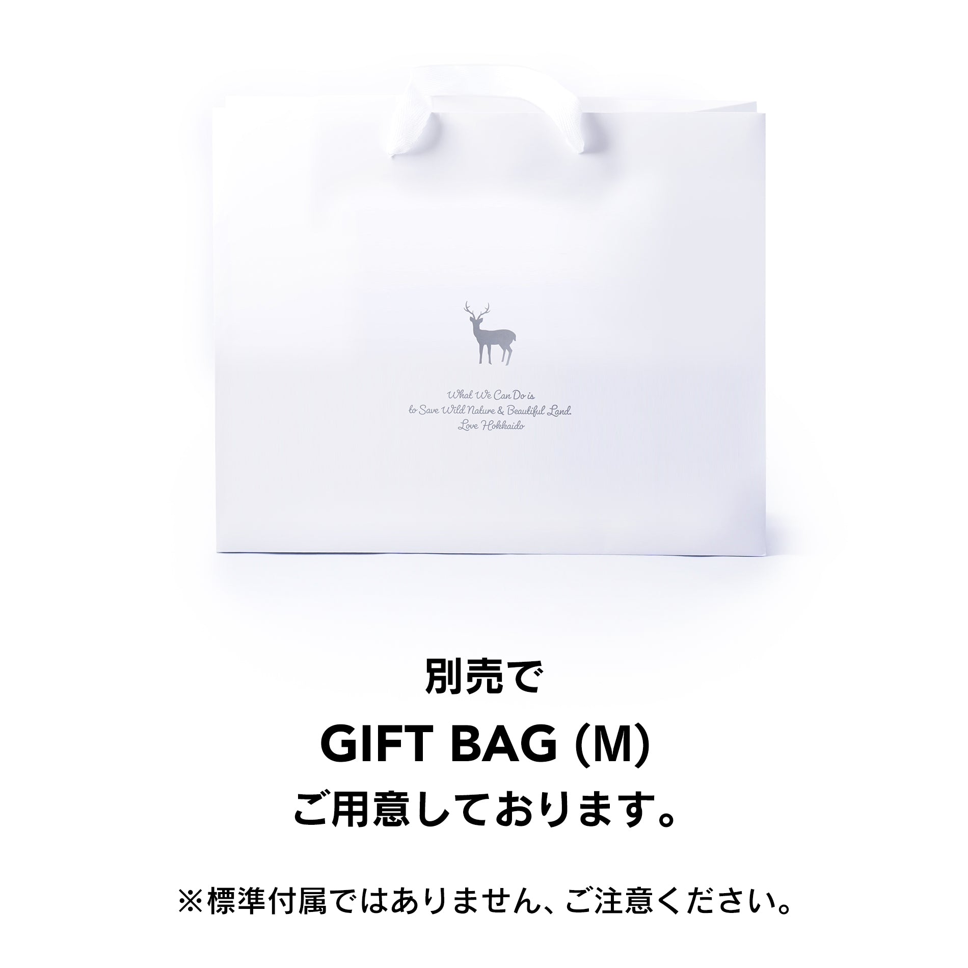 TNOC THE TEE BIG SHAPE / BEAR