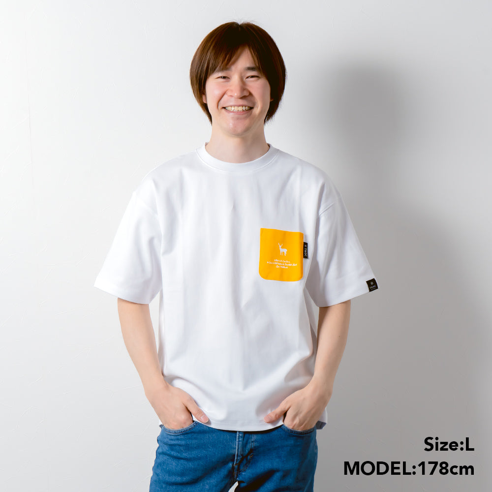 TNOC THE TEE PONTE SNOW WHITE / R-POCKET