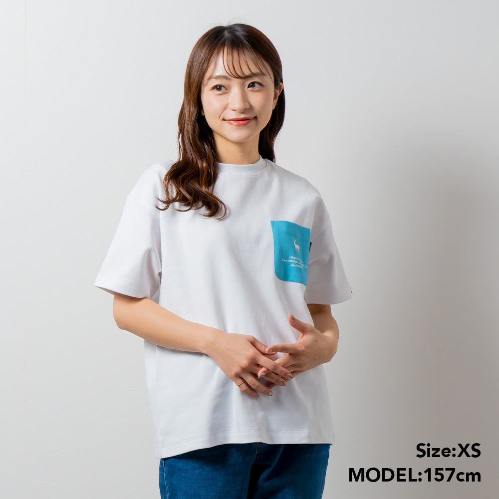 TNOC THE TEE PONTE SNOW WHITE / R-POCKET