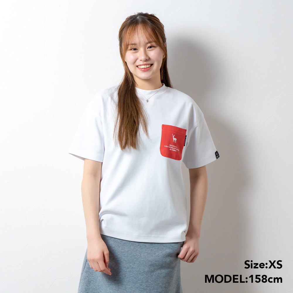 TNOC THE TEE PONTE SNOW WHITE / R-POCKET