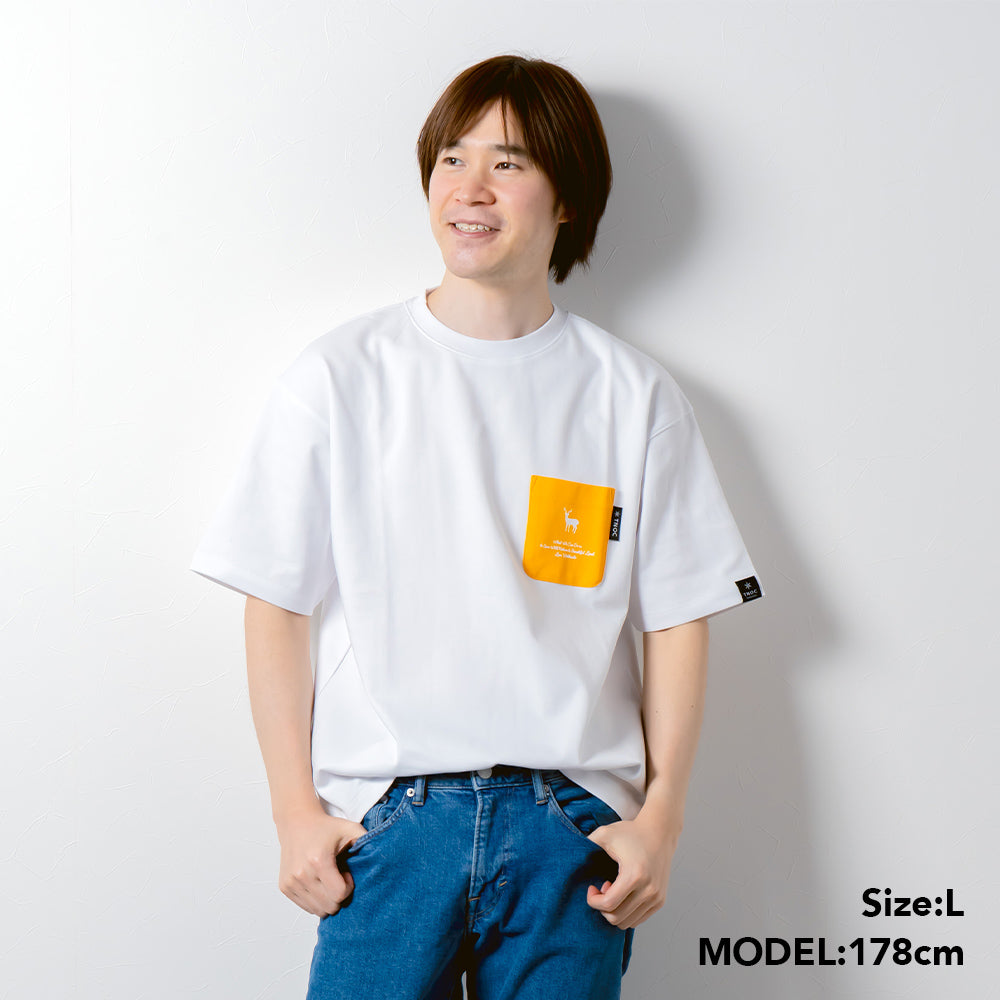 TNOC THE TEE PONTE SNOW WHITE / R-POCKET