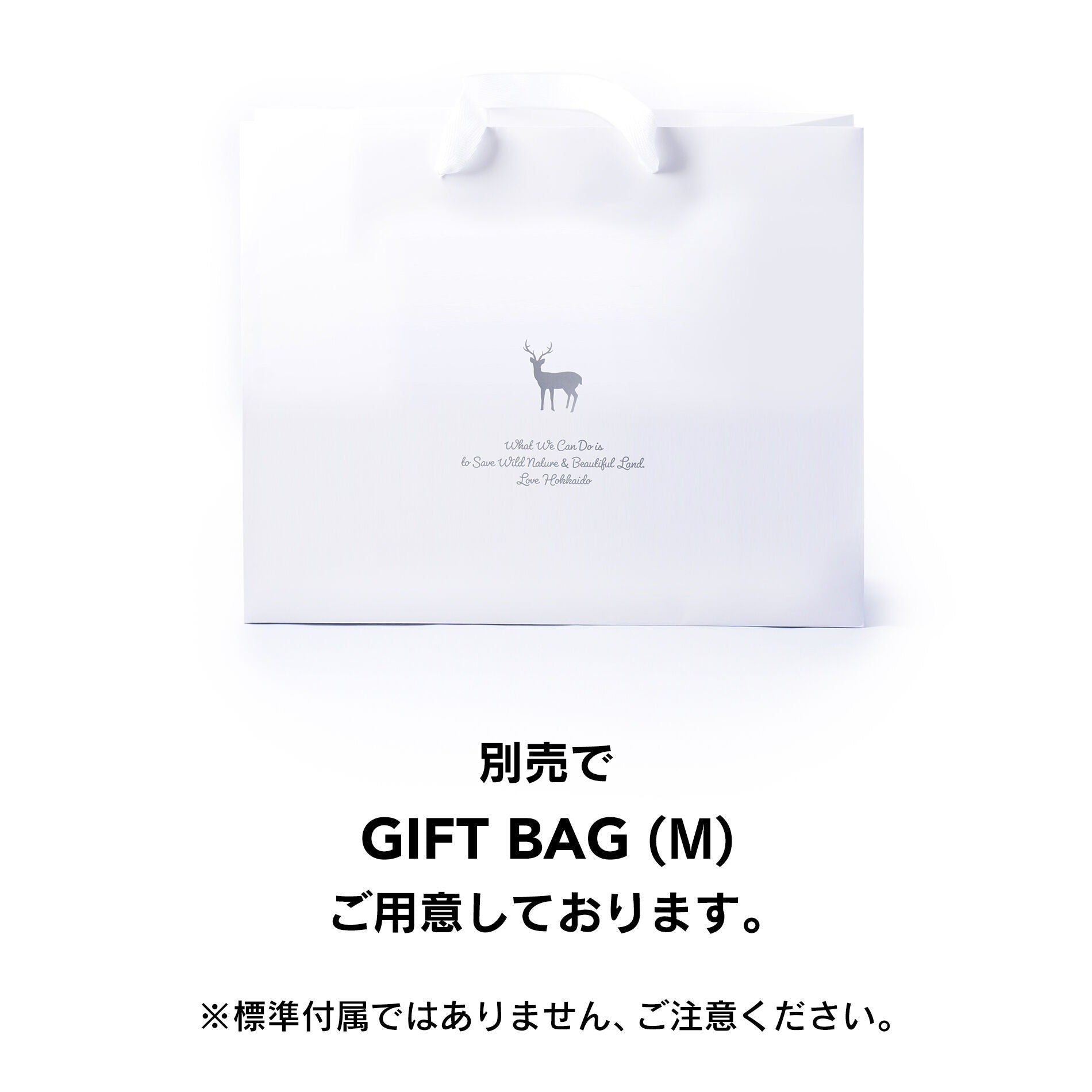 TNOC THE TOTE SKY mini