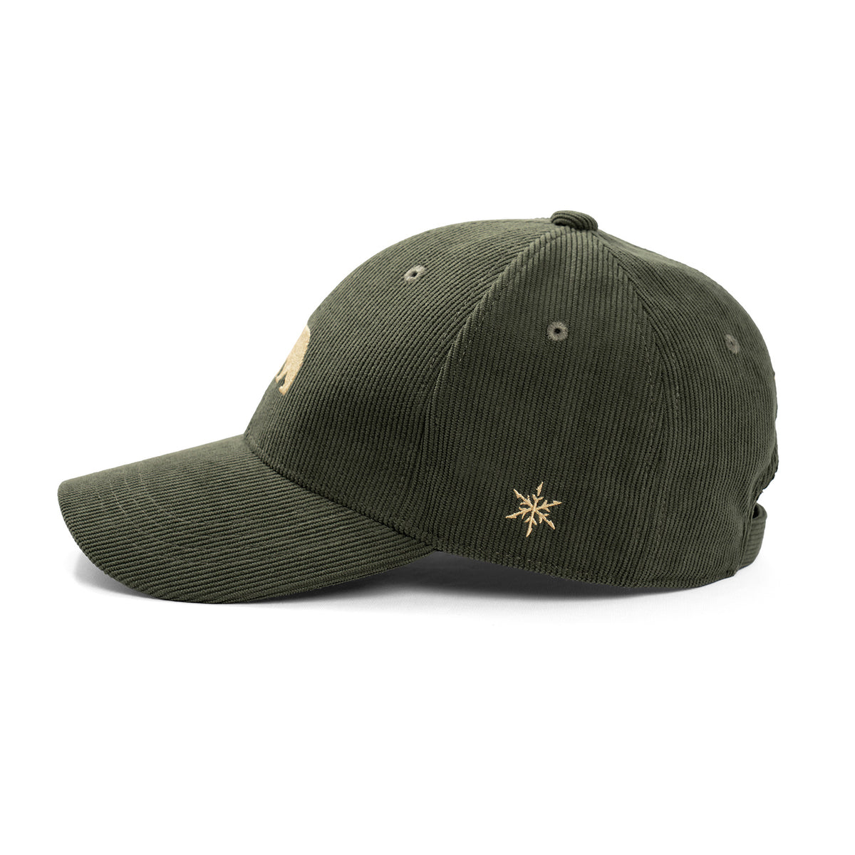 TNOC THE CAP-CS