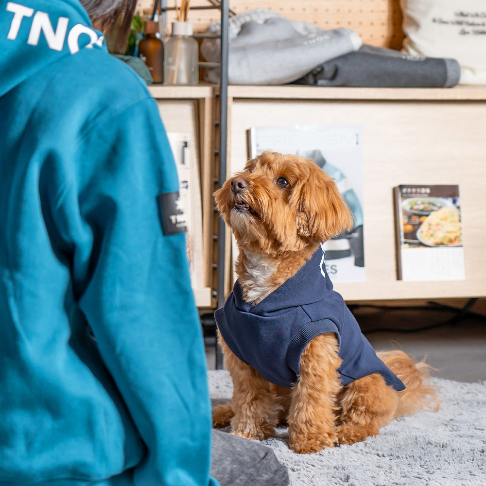 TNOC THE HOODIE PULLOVER PET