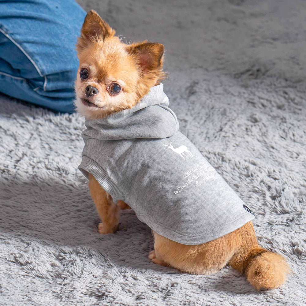 TNOC THE HOODIE PULLOVER PET