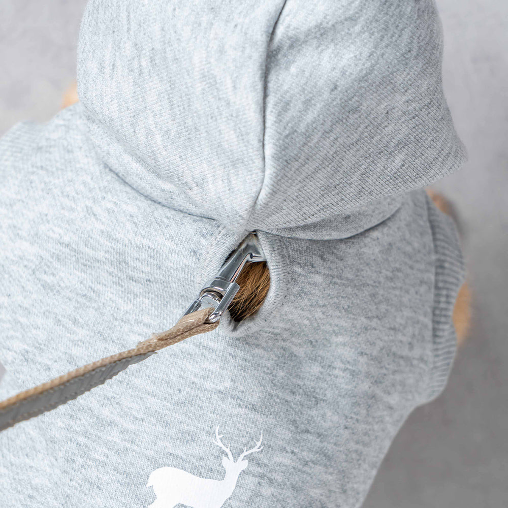 TNOC THE HOODIE PULLOVER PET