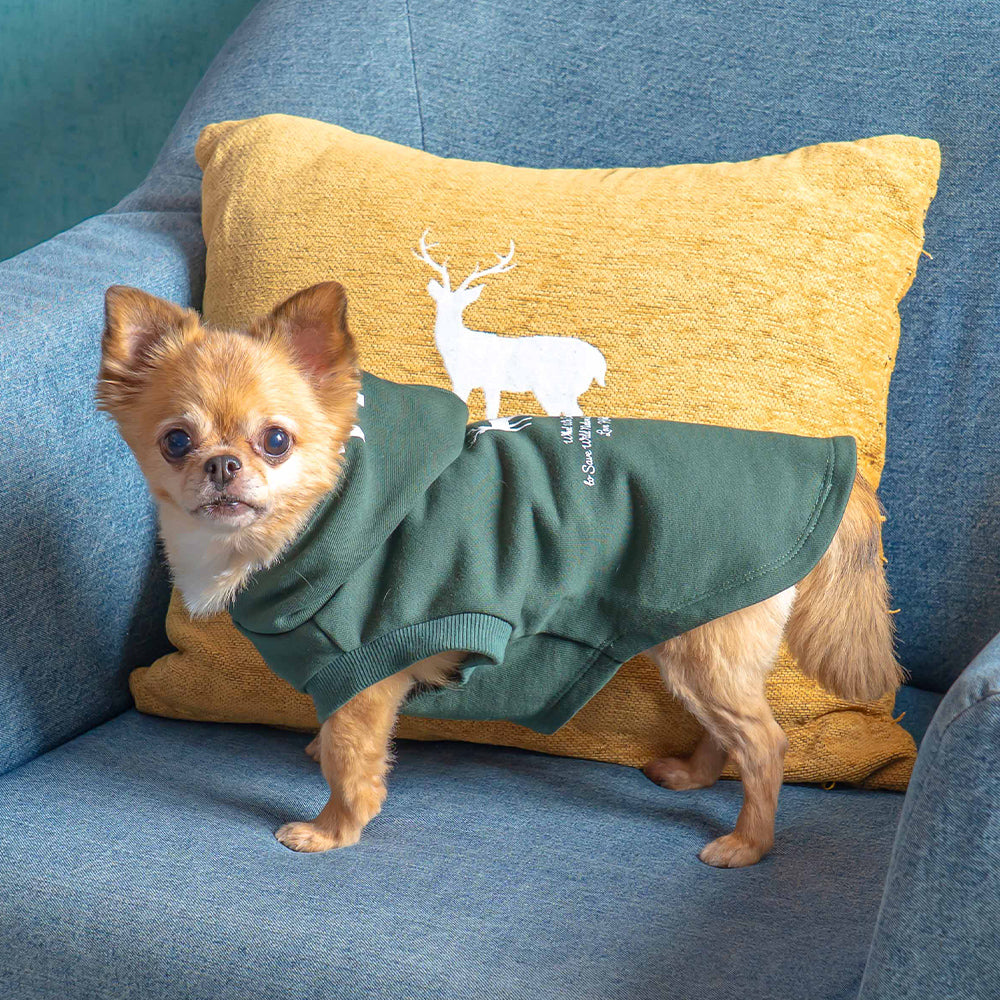 TNOC THE HOODIE PULLOVER PET