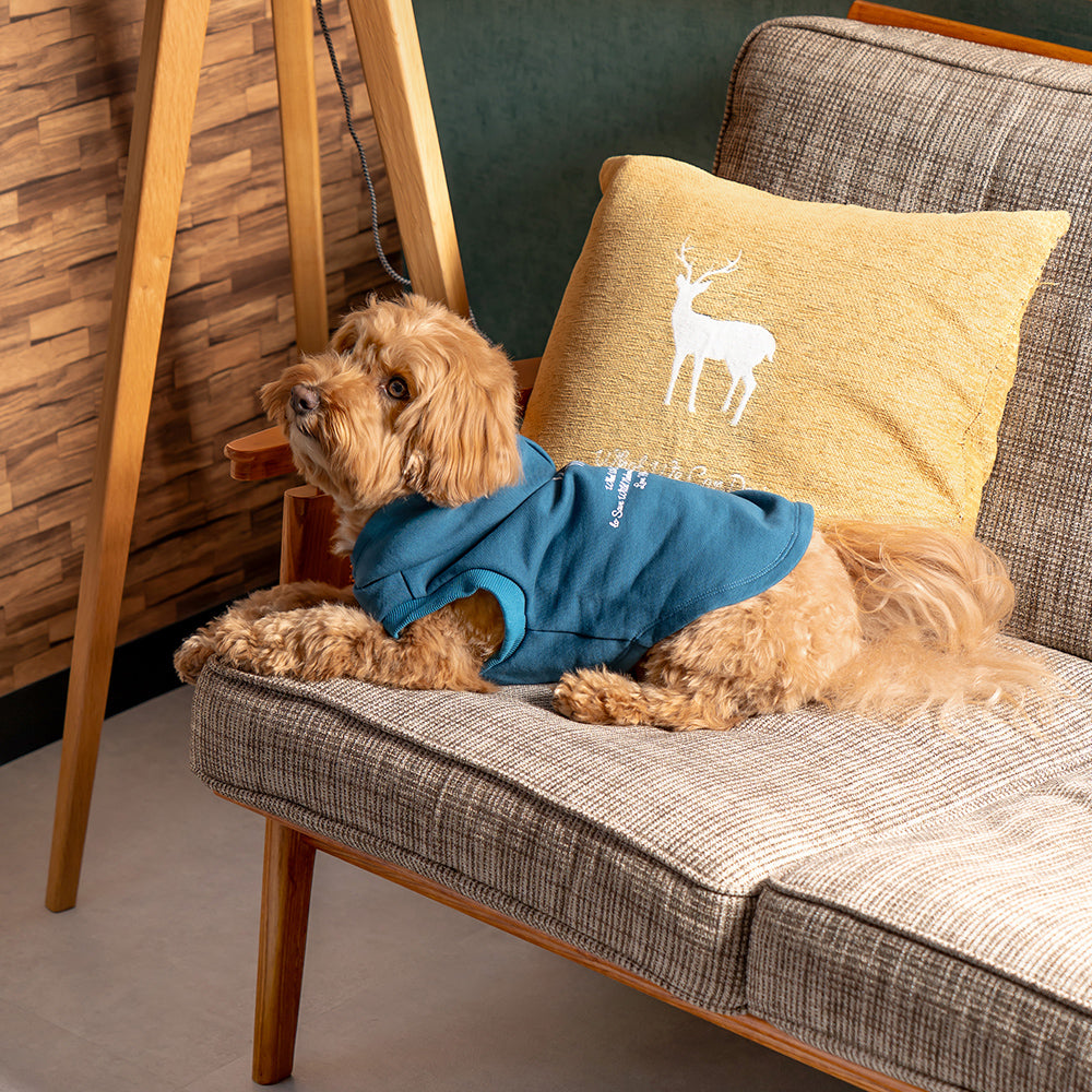 TNOC THE HOODIE PULLOVER PET