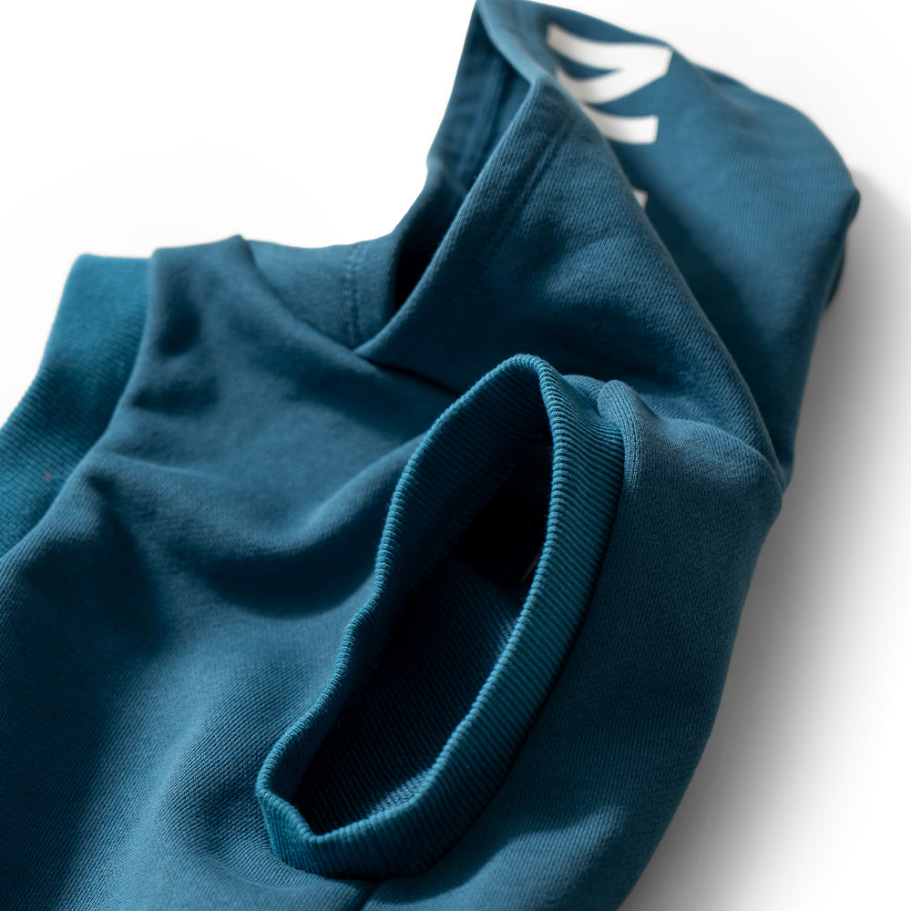TNOC THE HOODIE PULLOVER PET
